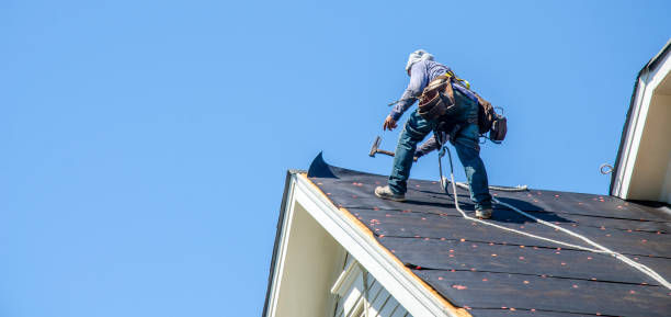 Best Roof Gutter Cleaning  in Barnwell, SC